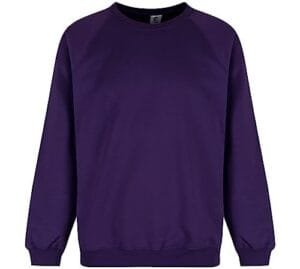 Purple Crew Neck Sweatshirt for Teens by Trutex