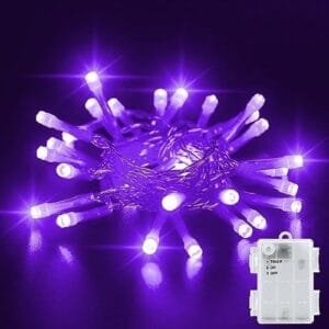 Purple LED Fairy Lights with 6h Timer (30 Lights)